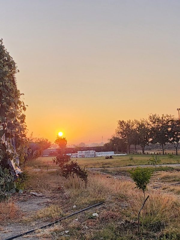 WhatsApp Image 2025-04-30 at 5.04.52 PM